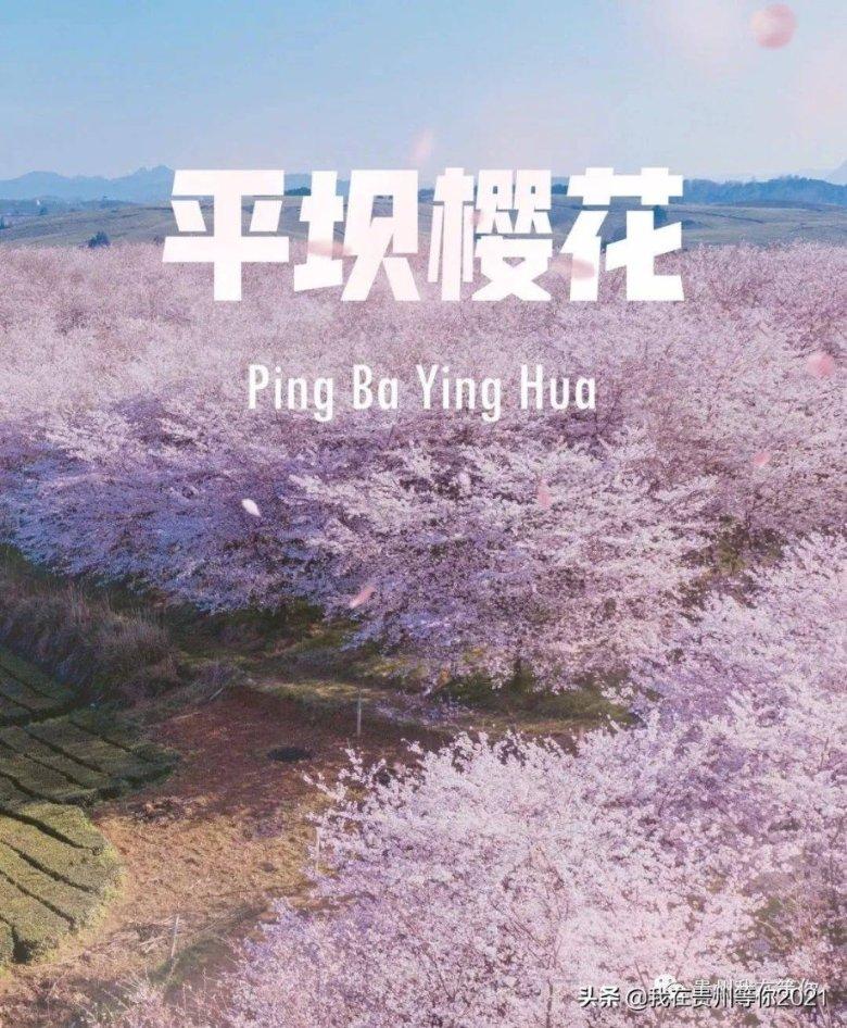 初恋女神林熙蕾，当年在巅峰时期隐退，12年后竟霸气归来